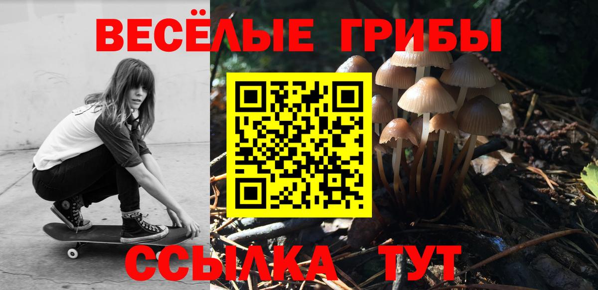 Галлюциногенные грибы Cubensis Шахты